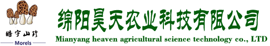 &#31859;&#20848;&#23448;&#26041;&#32593;&#39029;&#29256;&#45;&#31859;&#20848;&#40;&#20013;&#22269;&#41;