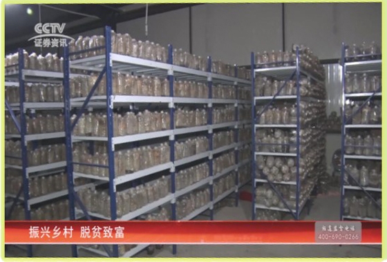 &#31859;&#20848;&#23448;&#26041;&#32593;&#39029;&#29256;&#45;&#31859;&#20848;&#40;&#20013;&#22269;&#41;