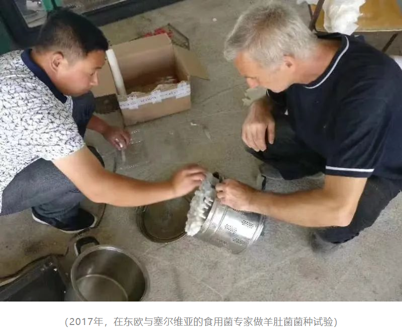&#31859;&#20848;&#23448;&#26041;&#32593;&#39029;&#29256;&#45;&#31859;&#20848;&#40;&#20013;&#22269;&#41;